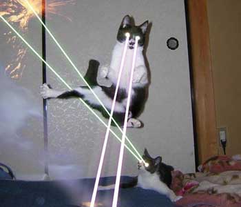 Лазерные коты