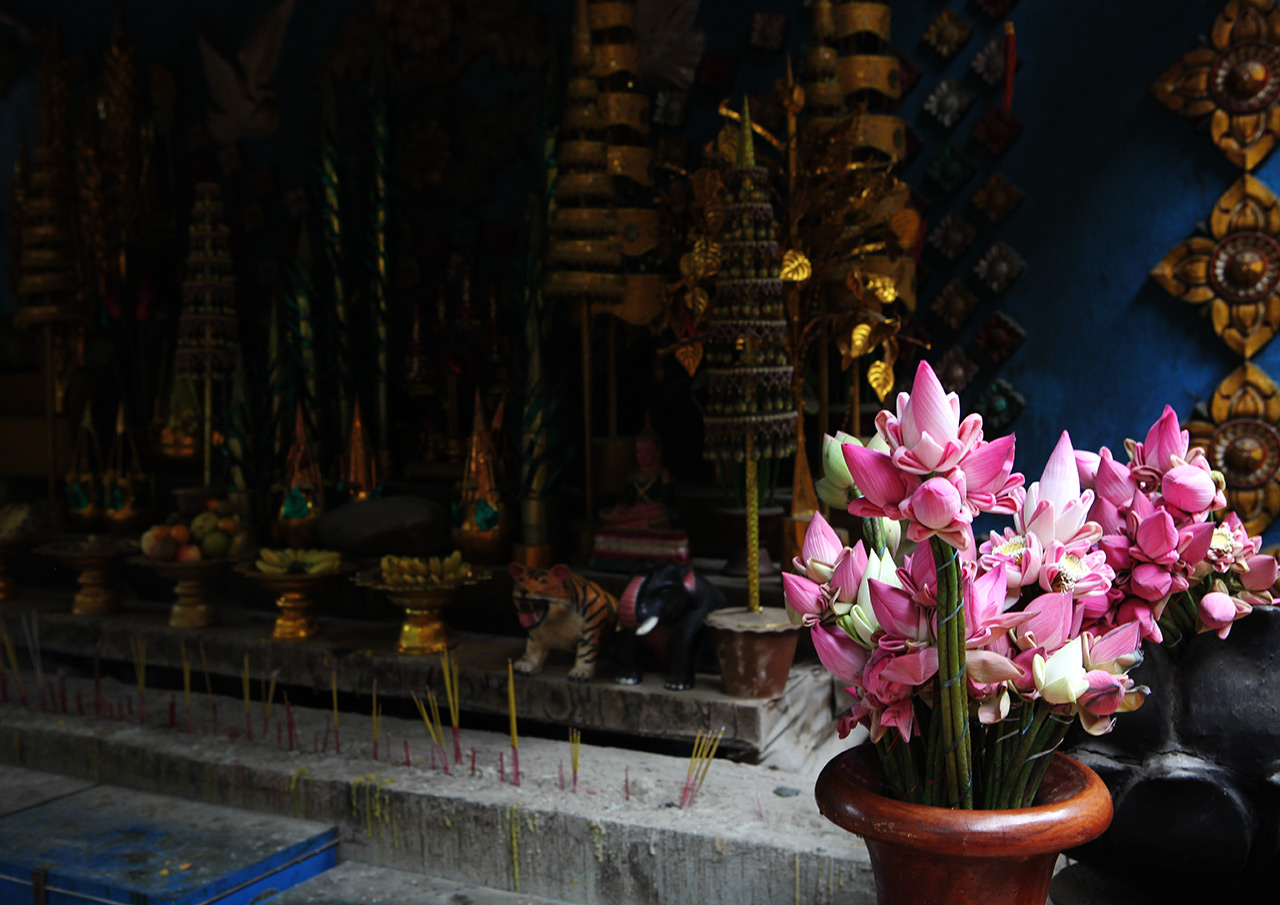 Цветы для Будды