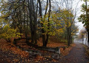 Осень в Пушкинских горах